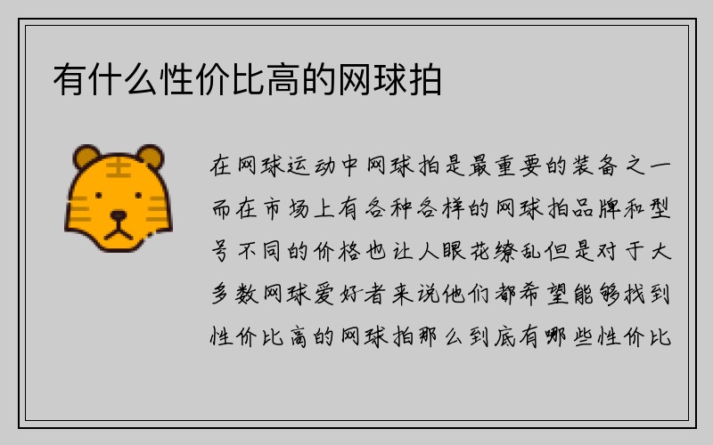 有什么性价比高的网球拍